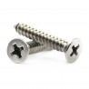 Parafuso Auto Atarraxante Chata Inox A2 304 4,8x19